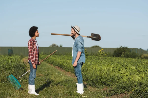 Side view of happy interracial farmers with shovel and rakes looking at each other on farmland — Stock Photo