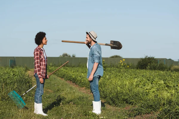 Vista lateral de felizes agricultores inter-raciais com pá e ancinhos olhando uns para os outros em terras agrícolas — Fotografia de Stock