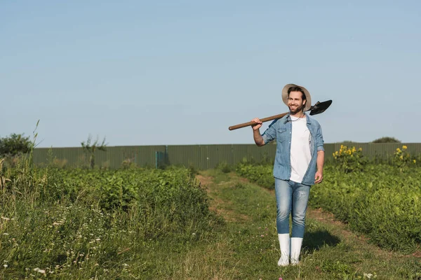 Вид в полный рост счастливого фермера, гуляющего с лопатой по зеленому полю — стоковое фото