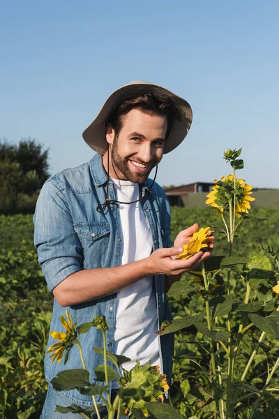 Granjero feliz sonriendo a la cámara y mostrando girasoles en el campo - foto de stock