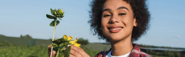 Happy african american farmer looking at camera near sunflowers in field, banner — Stock Photo