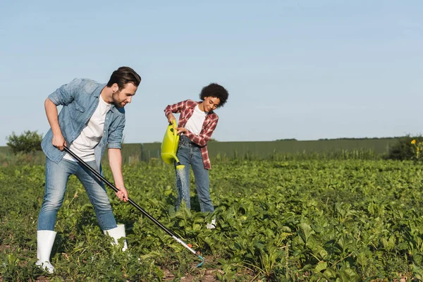 Mujer afroamericana regando plantas en el campo cerca de joven agricultor — Stock Photo