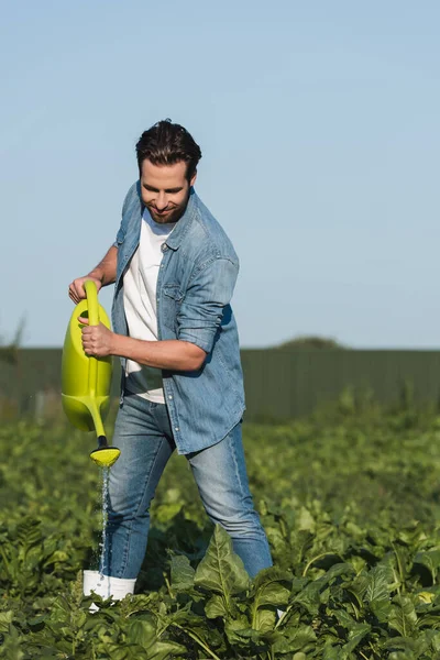 Joven agricultor en ropa de mezclilla regar plantas verdes en el campo - foto de stock