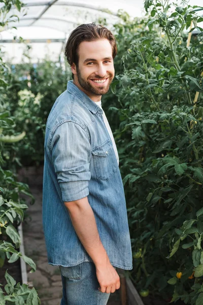 Jovem agricultor em camisa jeans sorrindo para a câmera em estufa — Fotografia de Stock