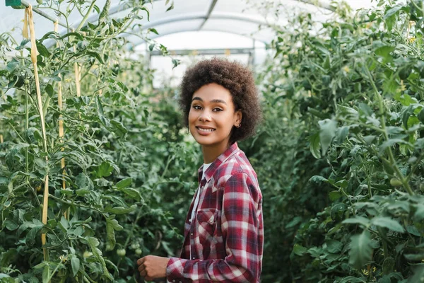 Junge und glückliche Afroamerikanerin lächelt im Gewächshaus in die Kamera — Stockfoto