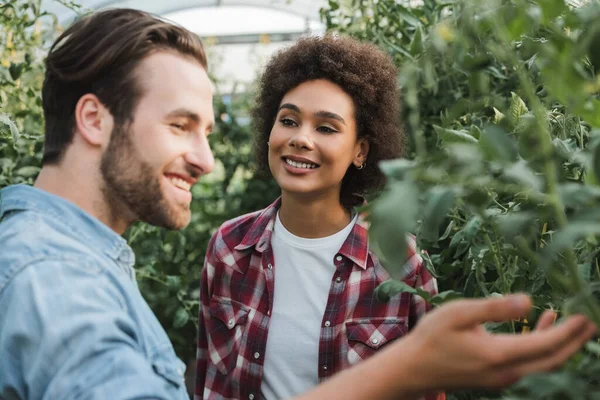 Joven afroamericana americana sonriendo cerca borrosa agricultor chequeando plantas en invernadero - foto de stock