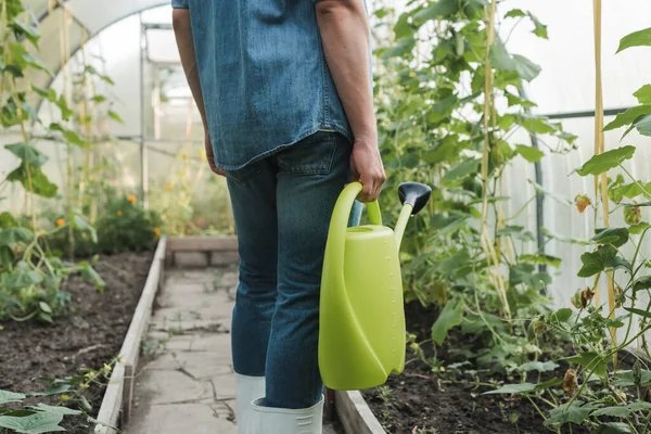 Cropped view of farmer in denim clothes holding watering can in hothouse — Stock Photo
