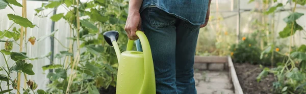 Partial view of farmer with watering can in greenhouse, banner — Stock Photo