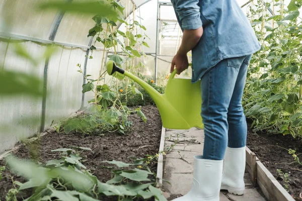 Vista ritagliata di azienda agricola annaffiatoio può vicino a letti da giardino in serra — Foto stock