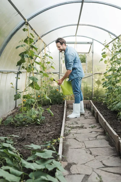 Full length view of farmer in denim clothes watering plants in greenhouse — Stock Photo