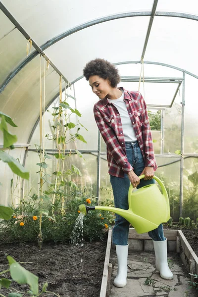 Full length view of african american woman watering garden beds in greenhouse — Stock Photo