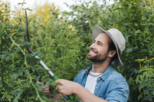 Позитивний садівник в блідому капелюсі обрізає зелені кущі з секаторами — стокове фото