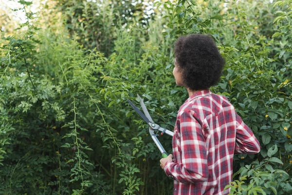 Mulher afro-americana em camisa xadrez aparando arbustos verdes no jardim — Fotografia de Stock