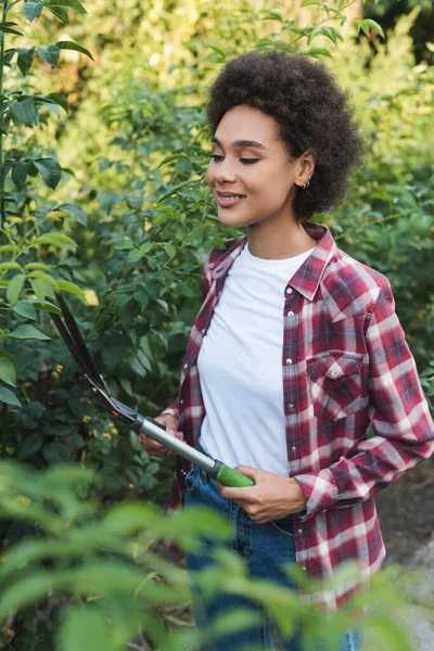 Donna afroamericana sorridente che taglia cespugli in giardino con potatore — Foto stock