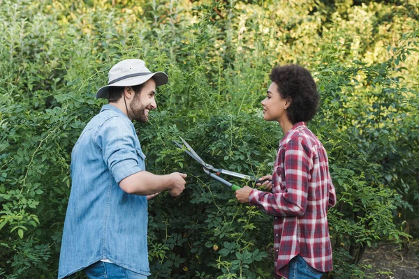 Lächelnder Gärtner unterrichtet afrikanisch-amerikanische Frau beim Schneiden von Sträuchern mit Gartenschere — Stockfoto