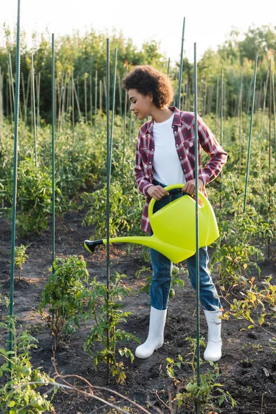 Vue pleine longueur de femme afro-américaine arrosant des tomates — Photo de stock