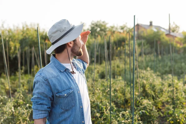 Agricultor de camisa jeans e chapéu de aba olhando para longe na fazenda — Fotografia de Stock