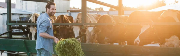 Fermier souriant empilant foin près étable, bannière — Photo de stock