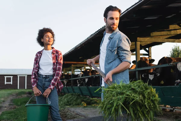 Smiling african american farmer looking at colleague with hay near blurred cowshed — Stock Photo