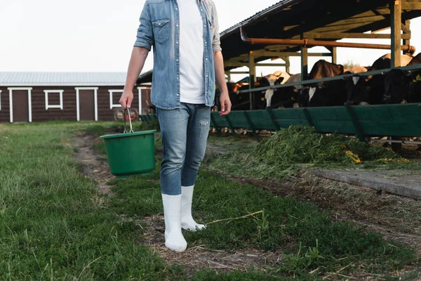 Cropped view of farm worker in denim clothes and rubber boots standing with bucket near cowhouse — Stock Photo