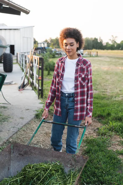 Junge Afroamerikanerin mit Schubkarre und Heu auf Bauernhof — Stockfoto