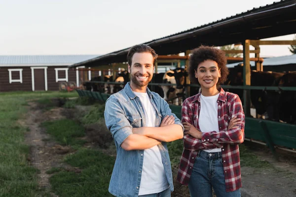 Happy multiethnic farmers standing with crossed arms near blurred cowhouse — Stock Photo