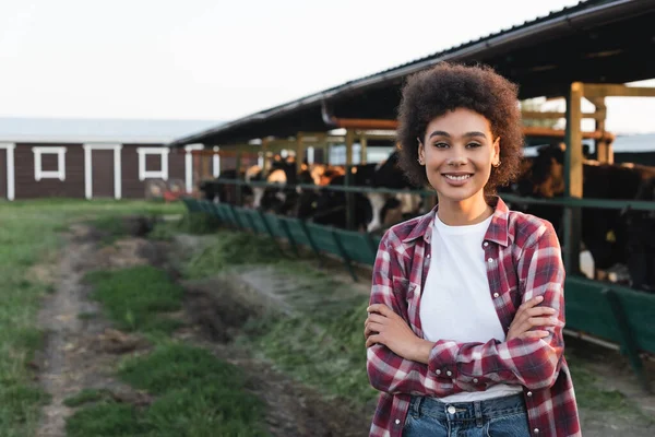 Smiling african american woman in plaid shirt standing with crossed arms near blurred cowshed — Stock Photo