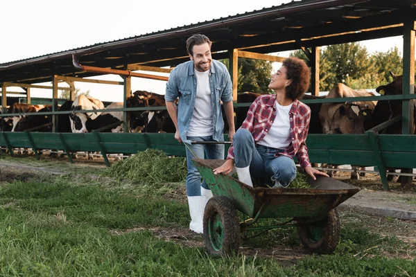 Fröhliche afrikanisch-amerikanische Frau sitzt in Schubkarre und schaut lächelnde Bäuerin an — Stockfoto