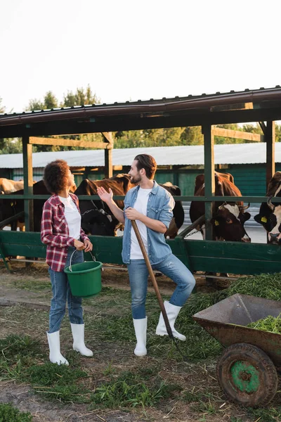 Smiling farmer pointing at cowshed near young african american colleague — Stock Photo