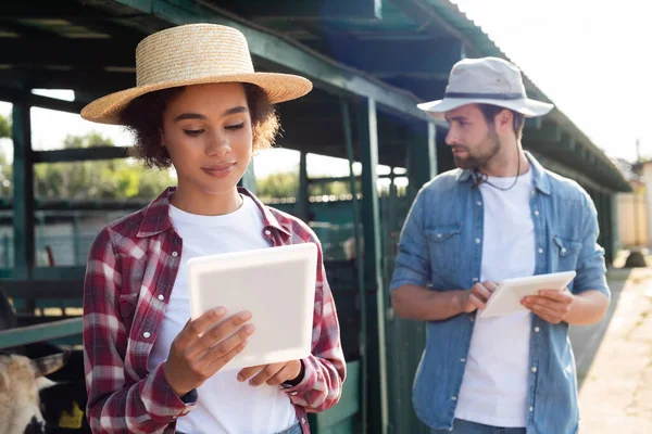 Interracial farmers using digital tablets near cowshed on farm — Stock Photo