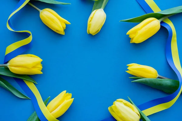 Vue du dessus du cadre depuis les tulipes et le ruban bleu et jaune sur le fond — Photo de stock