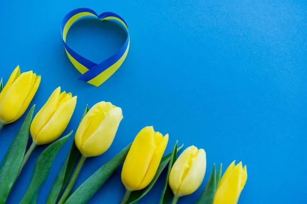 Top view of blue and yellow ribbon in heart sign near tulips on background — Stock Photo