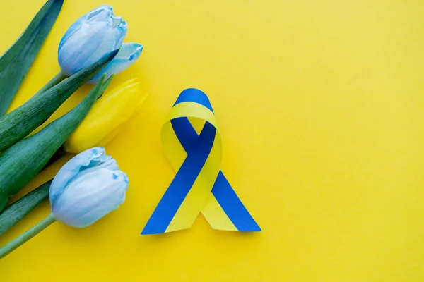 Top view of flowers near blue and yellow ribbon on background with copy space — Stock Photo