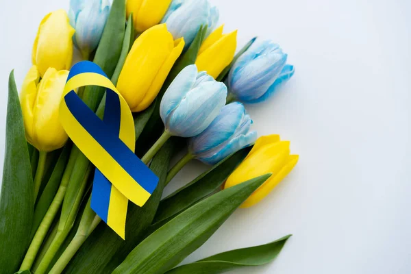 Top view of blue and yellow ribbon on bouquet of tulips on white background — Stock Photo