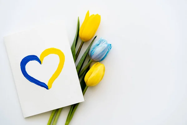 Top view of card with painted heart sign near blue and yellow tulips on white background — Stock Photo