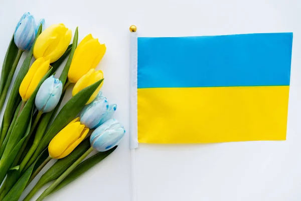 Vista superior de la bandera ucraniana cerca de las flores sobre fondo blanco - foto de stock