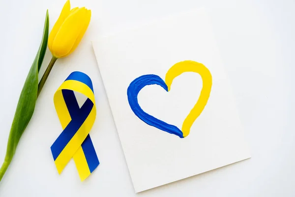 Top view of tulip near blue and yellow ribbon and card with painted heart sign on white background — Stock Photo