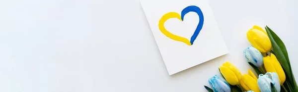 Top view of blue and yellow flowers near card with painted heart sign on white background, banner — Stock Photo