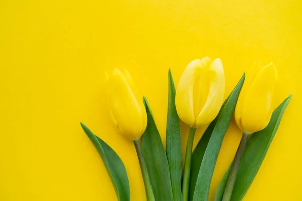 Верхний вид тюльпанов на желтом фоне с копировальным пространством — стоковое фото