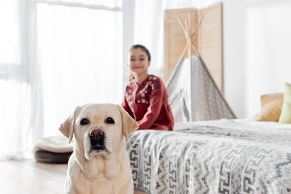 Labrador jaune regardant la caméra près de fille gaie sur fond flou — Photo de stock