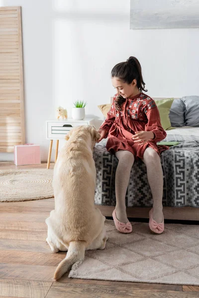 Visão de comprimento total da menina pré-adolescente sentada na cama perto do cão labrador — Fotografia de Stock