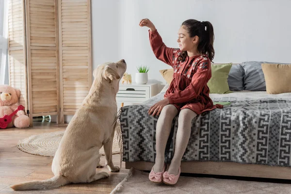 Full length view of cheerful girl playing with labrador while sitting on bed — Stock Photo