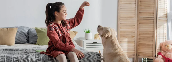 Brünettes Mädchen mit Pferdeschwanz sitzt auf dem Bett und spielt mit Labrador, Banner — Stockfoto