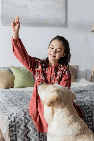 Fröhliches Mädchen spielt mit Labrador, während es zu Hause auf dem Bett sitzt — Stockfoto