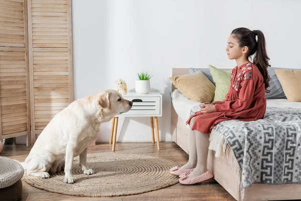 Vue latérale de la fille brune assise sur le lit en face labrador jaune — Photo de stock