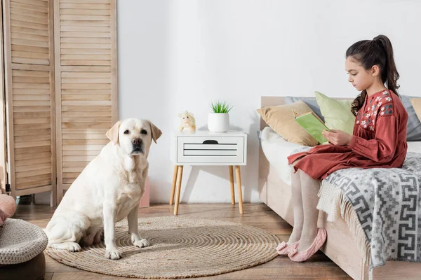 Labrador dog looking at camera near girl sitting on bed and reading book — Stock Photo