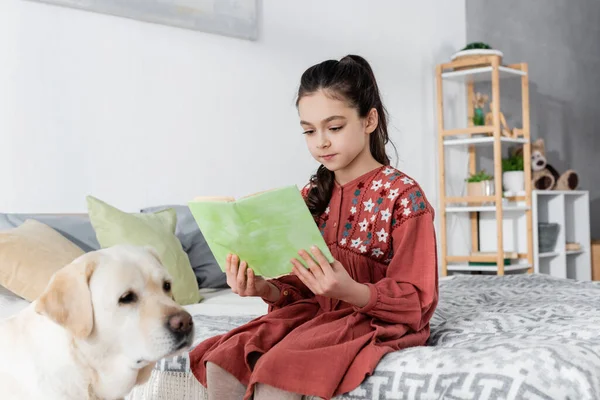 Preteen girl sitting on bed near blurred labrador and reading book — Stock Photo