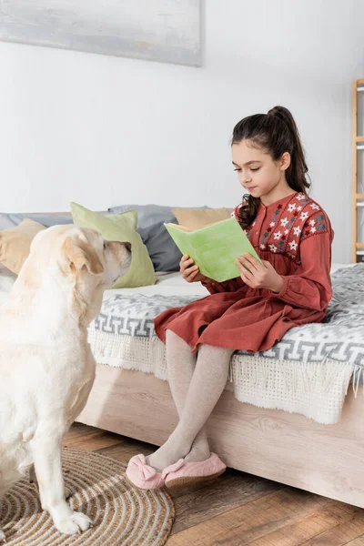 Брюнетка девушка читает книгу, сидя на кровати рядом с лабрадором собака — стоковое фото