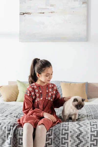 Sorridente ragazza seduta sul letto con cuscini e petting gatto peloso — Foto stock