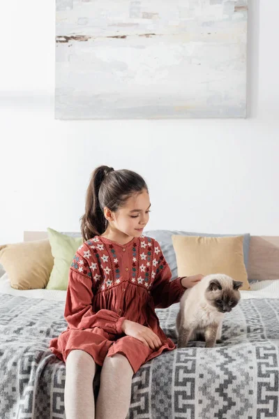 Chica sonriente sentada en la cama con almohadas y acariciando gato peludo - foto de stock